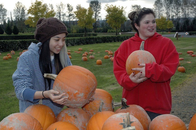 Marysville Getchell Bio-Med Academy seniors Carolyn Le and Maile Levinsky heft some pumpkins at the Plant Farm at Smokey Point on Oct. 10.