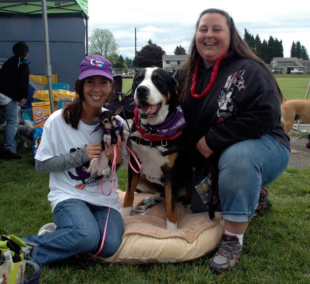 Stephanie Earling’s 4-year-old Chihuahua Cricket won the smallest dog contest at the May 18 Bark For Life