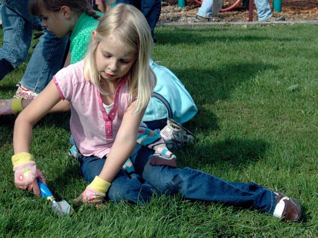 Marysville’s Madelyn Teerlink shoveled weeds out of the grass at Jennings Park as part of last year’s National Day of Service and Remembrance.