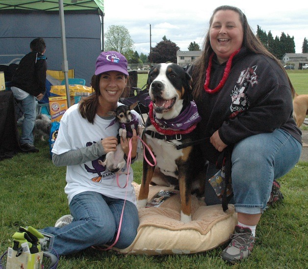 Stephanie Earling won the smallest dog contest at last year's Bark For Life for her Chihuahua Cricket