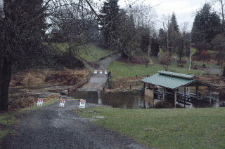 Flooding of Allen Creek closed off the Lions Centennial Pavilion at Jennings Park Jan. 7.