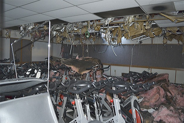 Insulation has fallen from the ceiling onto the stationary Spinning bicycles inside the Marysville-Pilchuck High School portable that was destroyed in an arson Wednesday night.