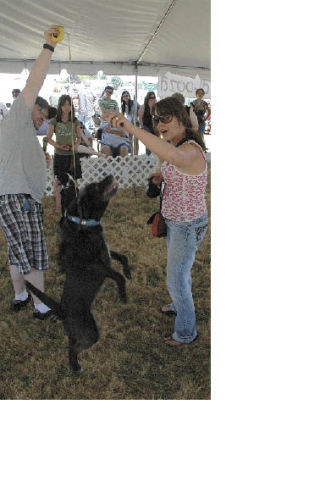 City Council member and Poochapalooza volunteer Lee Phillips