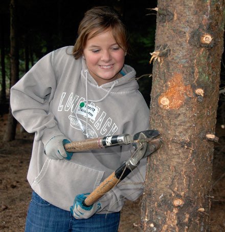 Denise Jacobsen found the “big knots” the hardest parts of the trees to trim