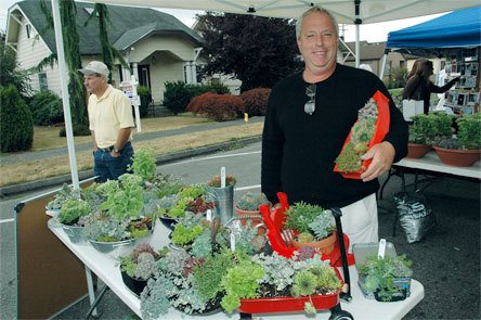 Not only does Dan Flax enjoy selling succulents and sedums to budding horticulturalists at the Marysville Homegrown Festival