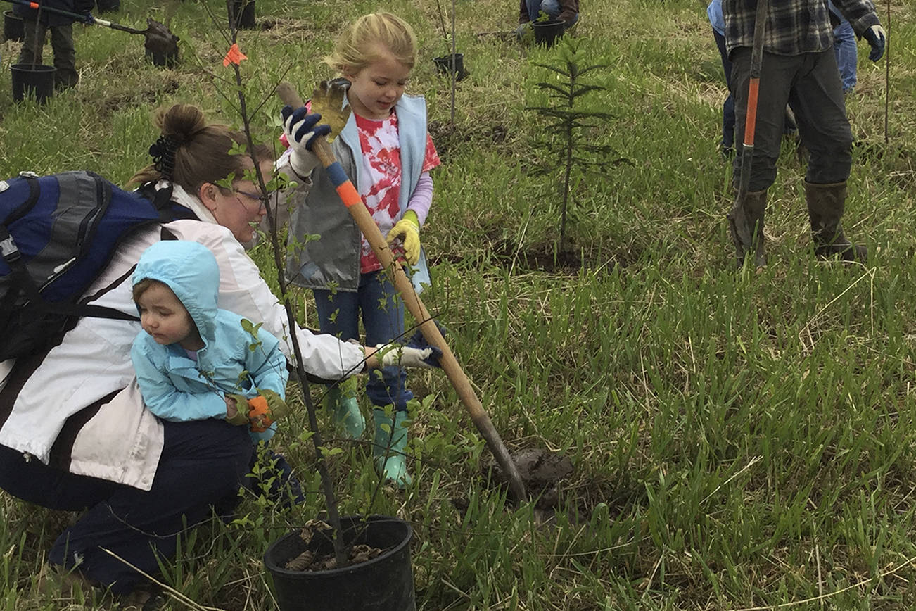 Marysville, Arlington team up for Earth Day planting event for Edgecomb Creek