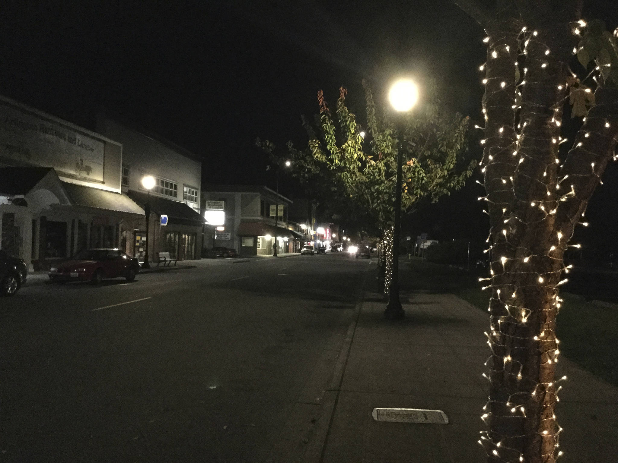 Arlington Cannabis Coalition lights up downtown trees