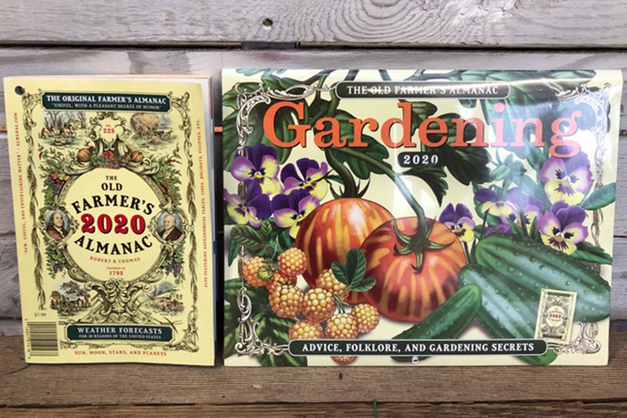 Not too late to dig up a gift for garden lovers